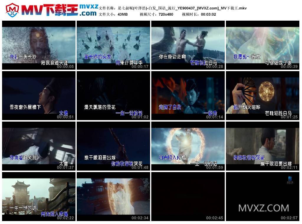 是七叔呢(叶泽浩)-白发_国语_流行_YE900437